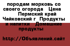 породам морковь со своего огорода › Цена ­ 30 - Пермский край, Чайковский г. Продукты и напитки » Домашние продукты   